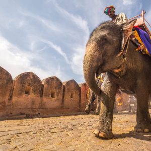 JAIPUR