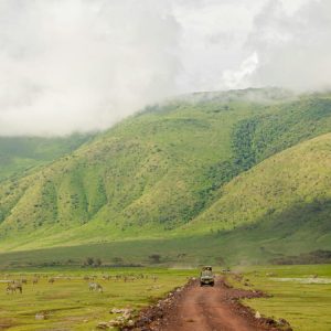 Ngorongoro
