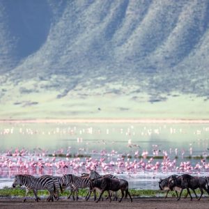 Parque Nacional Lake Manyara