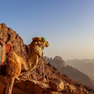 SHARM EL SHEIKH